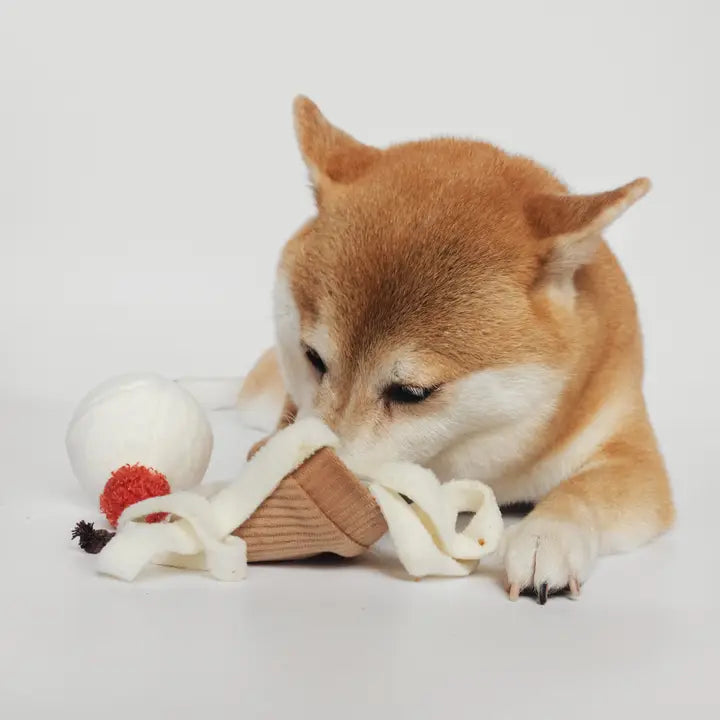 Ice Cream Pop Enrichment Snuffle Toy