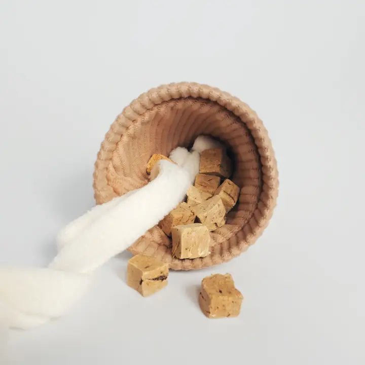 Ice Cream Pop Enrichment Snuffle Toy