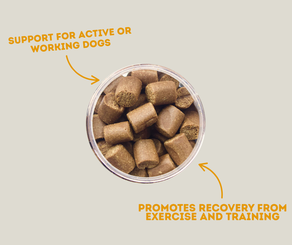 Winpro Recovery Supplements