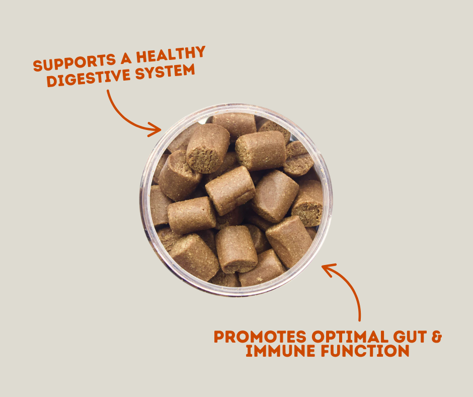 Winpro Gut Health & Immunity Supplements