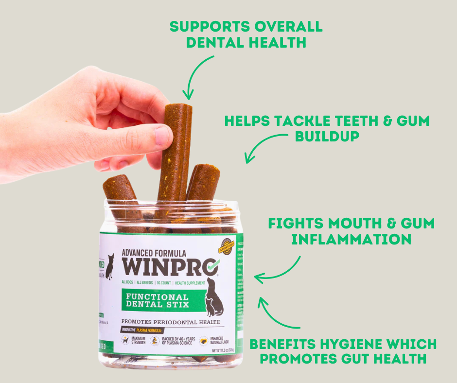 Winpro Functional Dental Stix