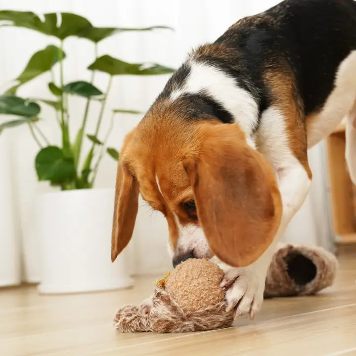 Squirrel Pop Enrichment Toy