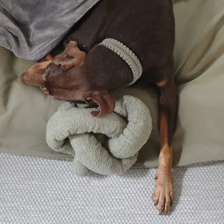 O Nou Oversized Enrichment Dog Toy