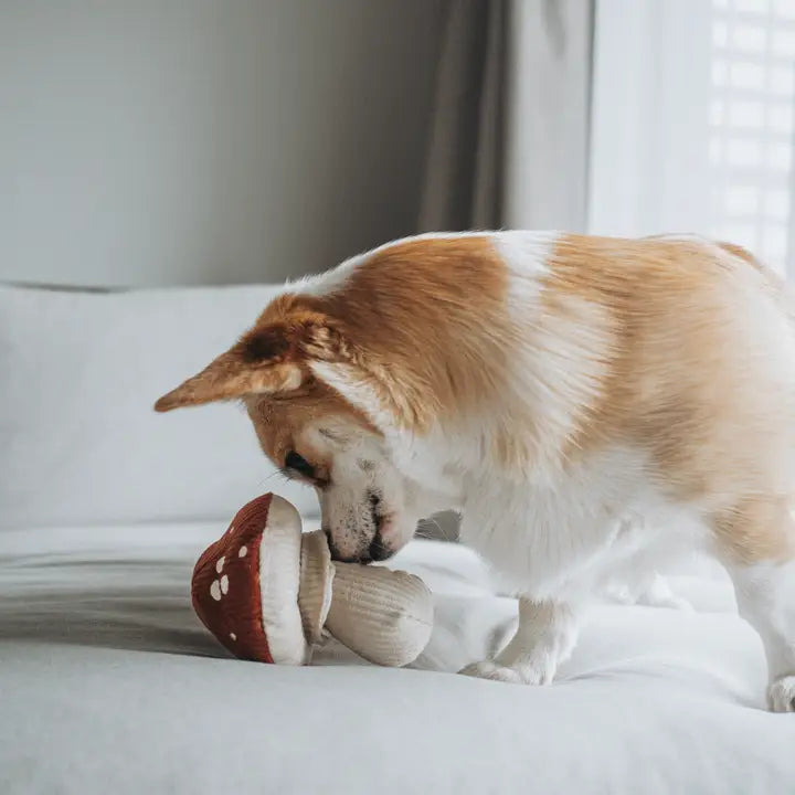 Shroom Plush Toy