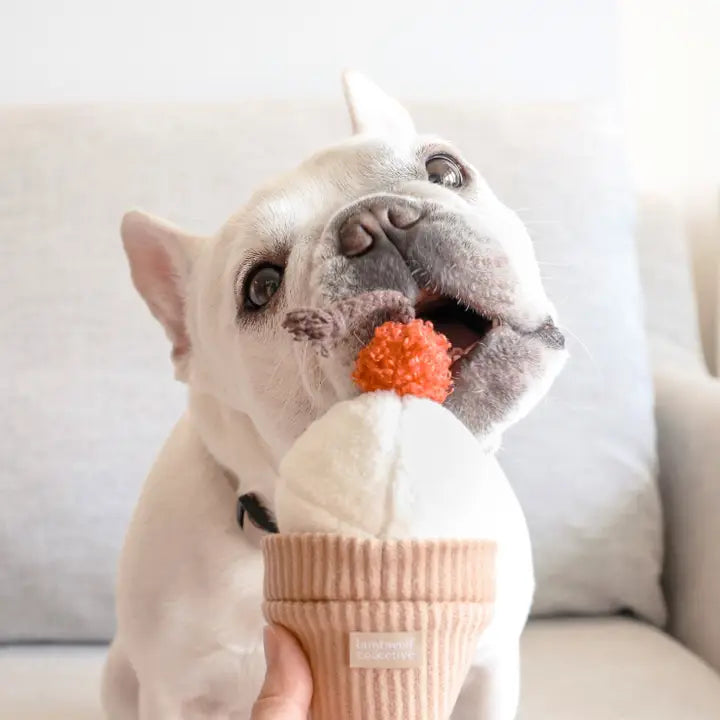 Ice Cream Pop Enrichment Snuffle Toy