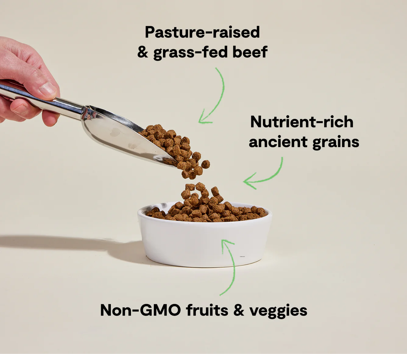 Open Farm Ancient Grains Kibble, Grass-Fed Beef