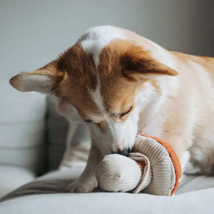 Shroom Plush Toy
