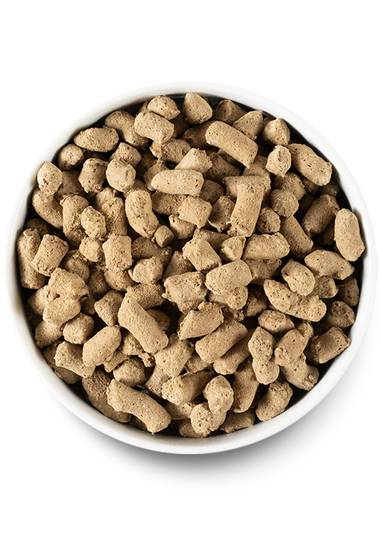 Open Farm Freeze Dried Morsels, Grass-Fed Beef