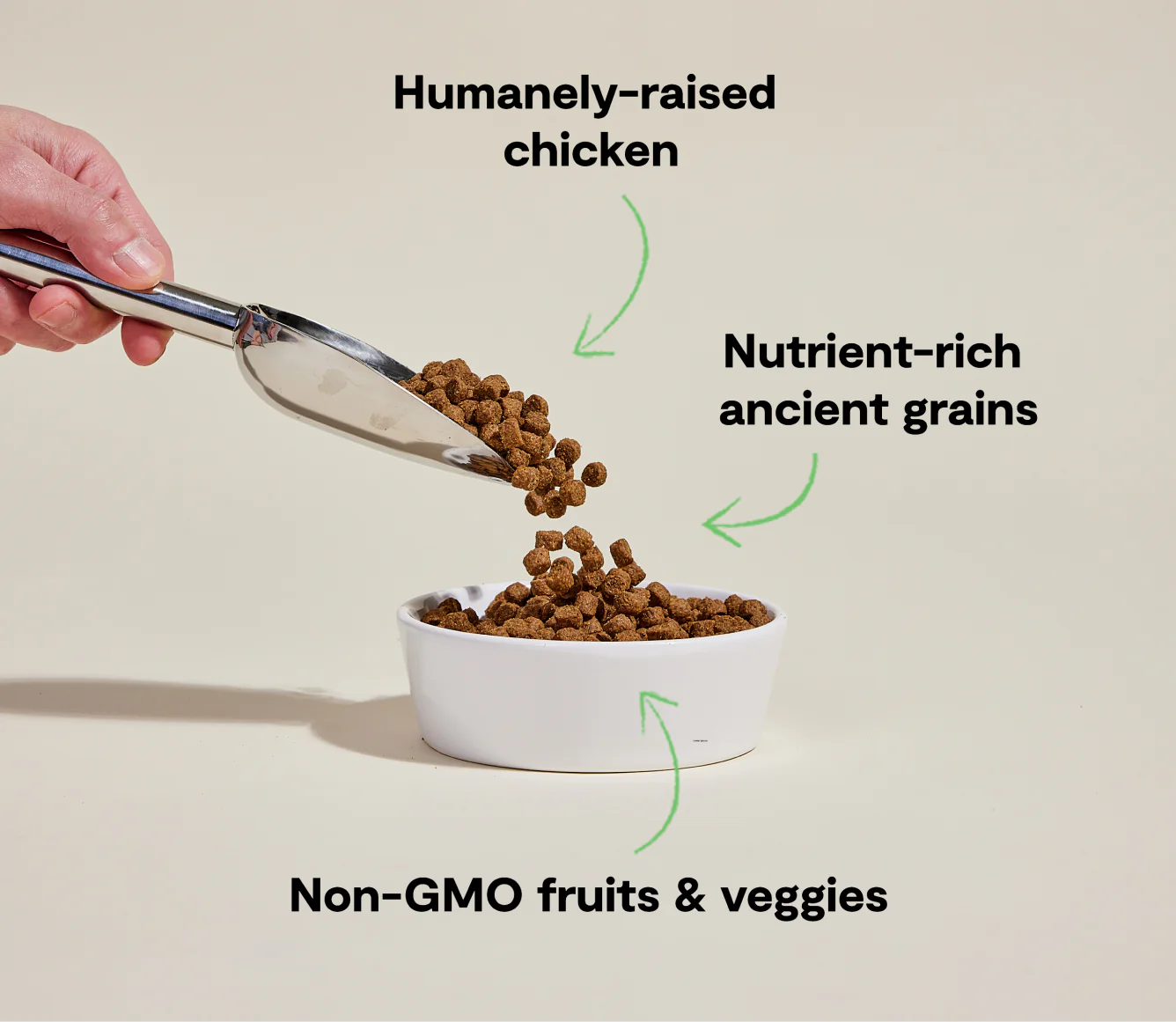 Open Farm Ancient Grains Kibble, Harvest Chicken