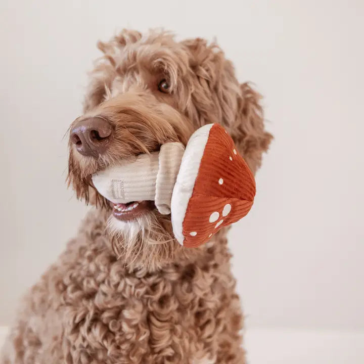Shroom Plush Toy