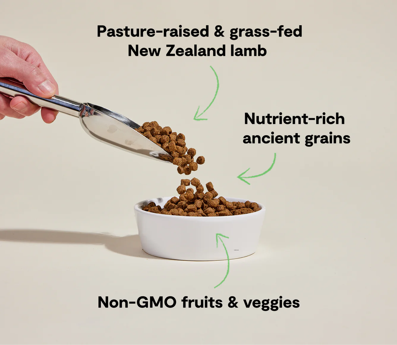 Open Farm Ancient Grains Kibble, Pasture-Raised Lamb