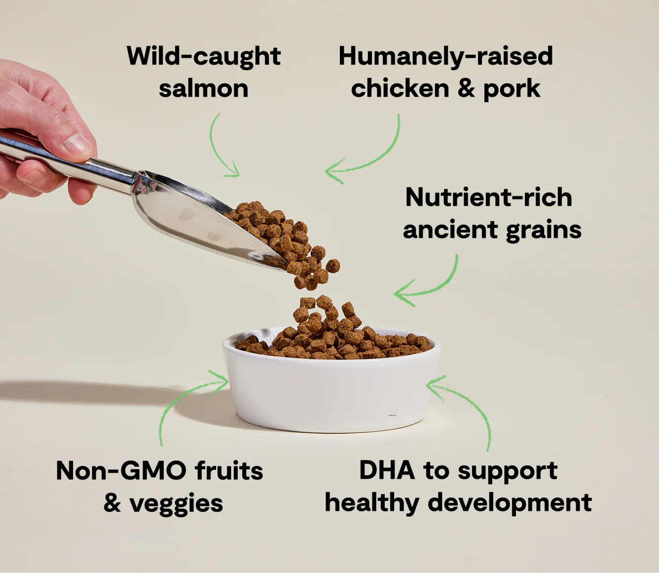 Open Farm Ancient Grains Kibble, Chicken & Salmon Puppy
