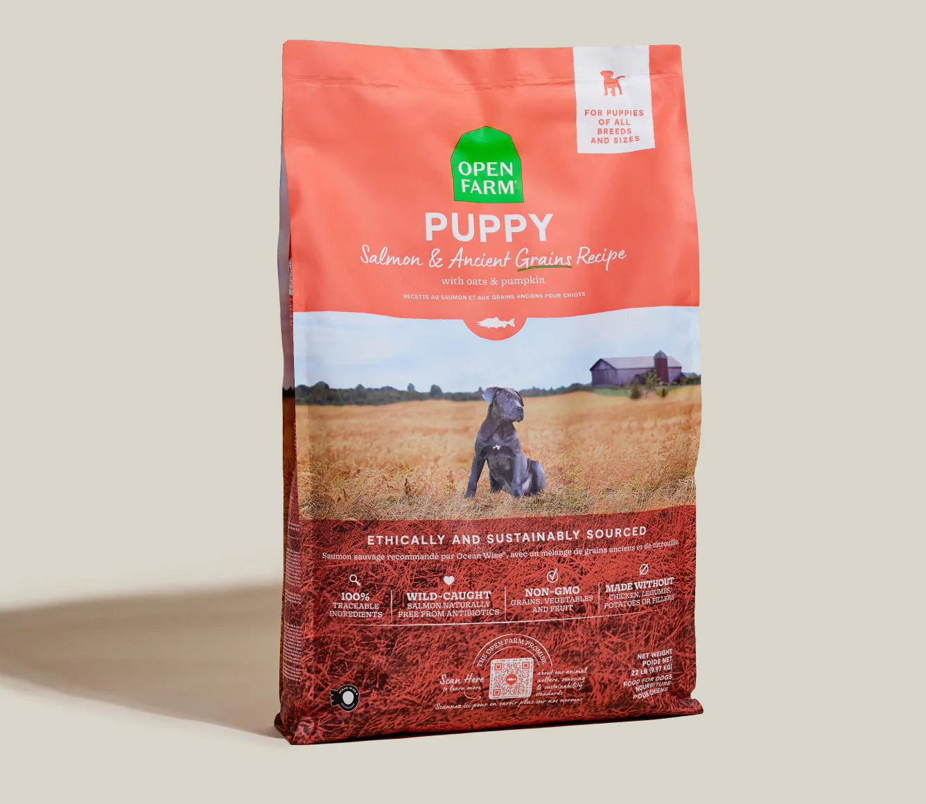 Open Farm Ancient Grains Kibble, Salmon Puppy