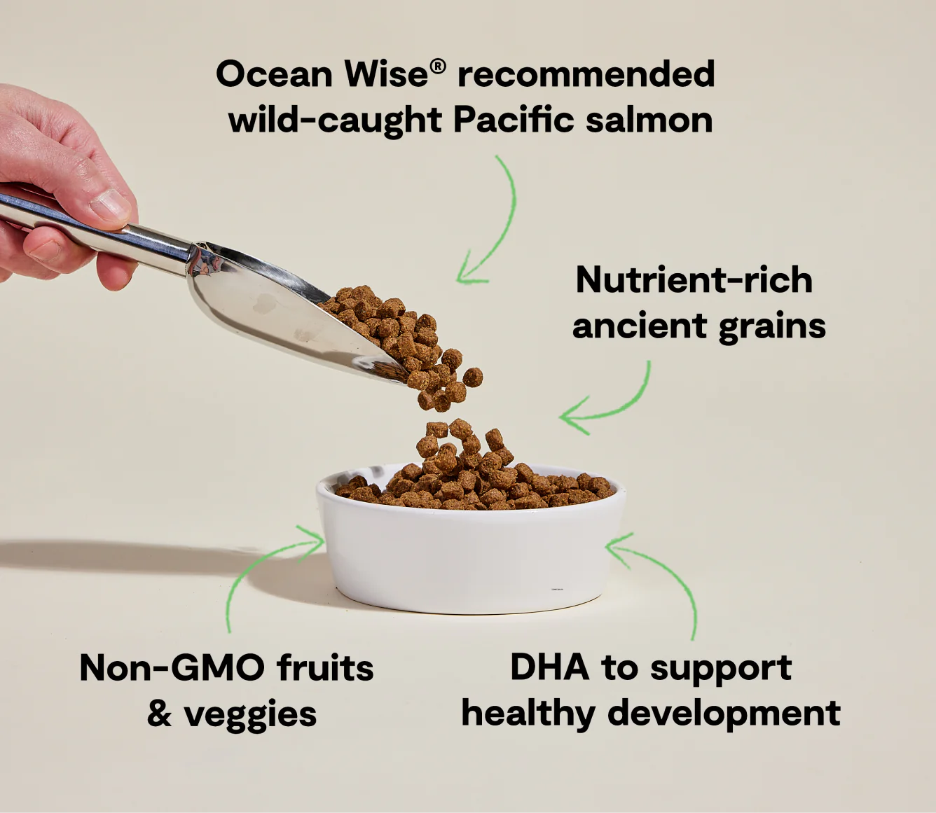 Open Farm Ancient Grains Kibble, Salmon Puppy