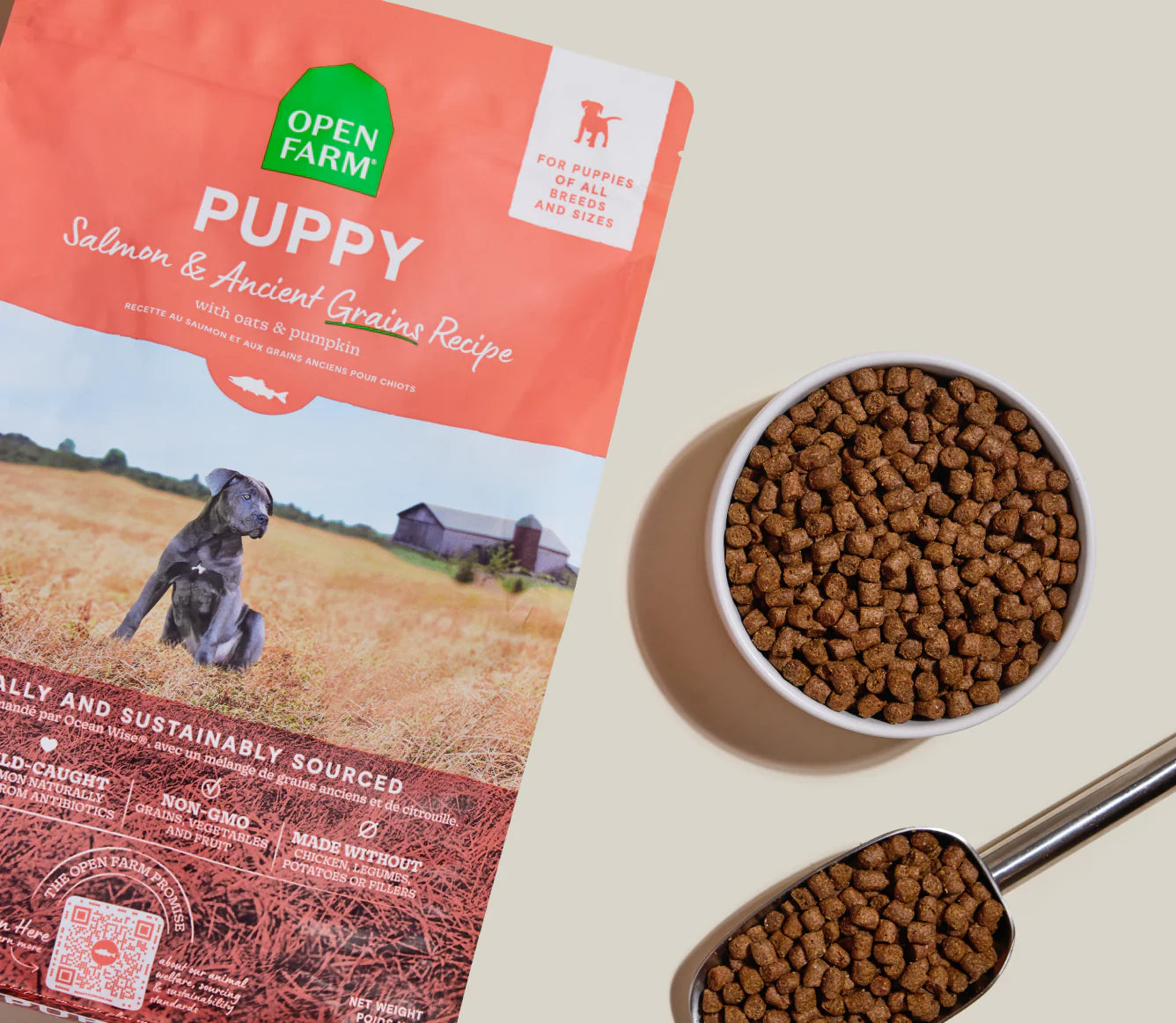 Open Farm Ancient Grains Kibble, Salmon Puppy
