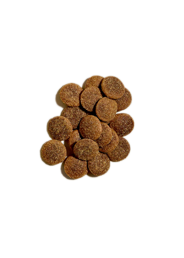 Open Farm Better Biscuits, Salmon & Oatmeal