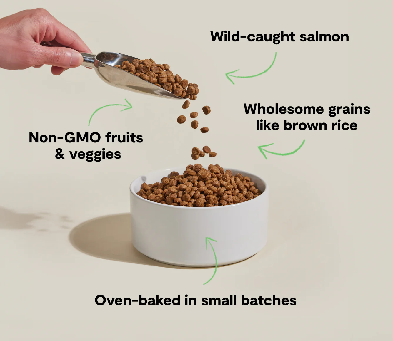 Open Farm Goodbowl Dog Kibble, Wild-Caught Salmon & Brown Rice