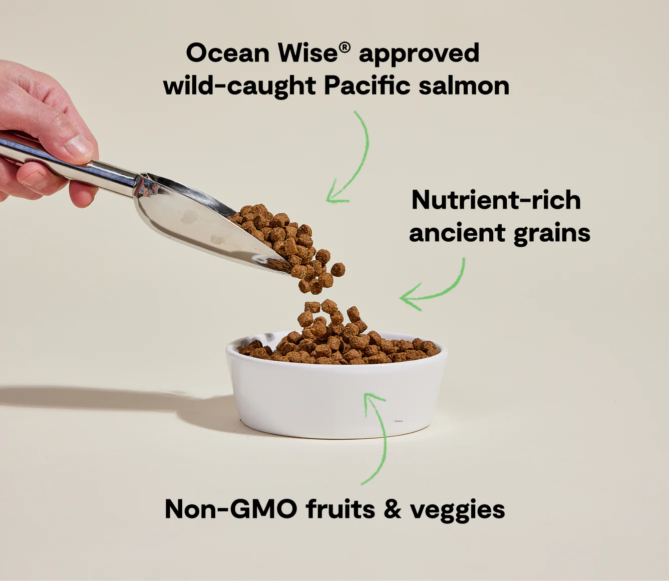 Open Farm Ancient Grains Kibble, Wild-Caught Salmon