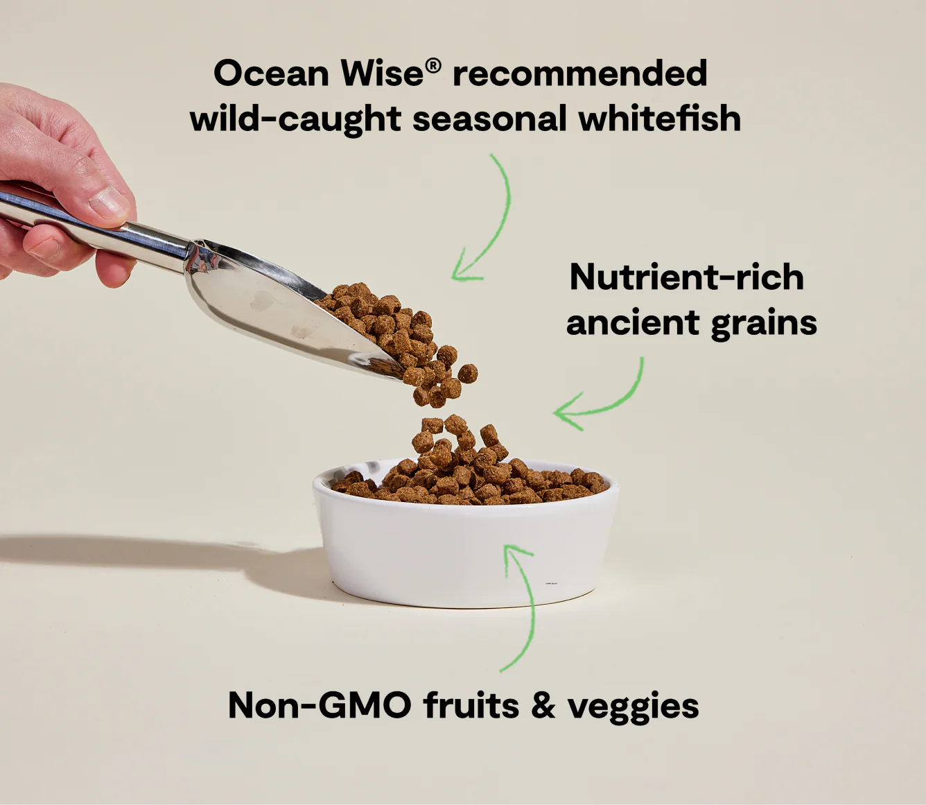 Open Farm Ancient Grains Kibble, Catch-Of-The-Season Whitefish