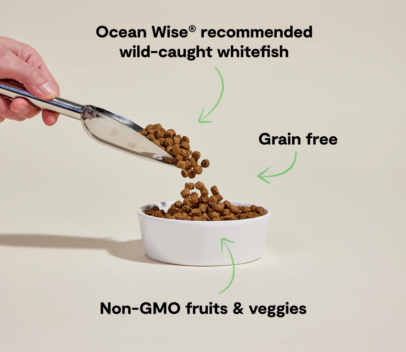 Open Farm Grain-Free Kibble, Catch-of-the-Season Whitefish