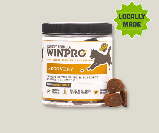 Winpro Recovery Supplements