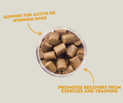 Winpro Recovery Supplements