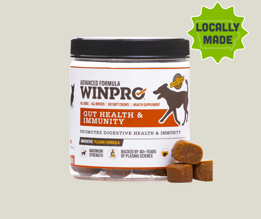 Winpro Gut Health & Immunity Supplements