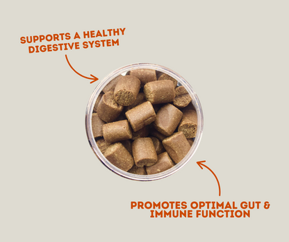 Winpro Gut Health & Immunity Supplements