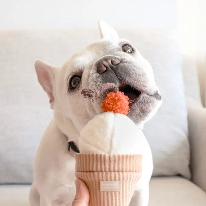 Ice Cream Pop Enrichment Snuffle Toy