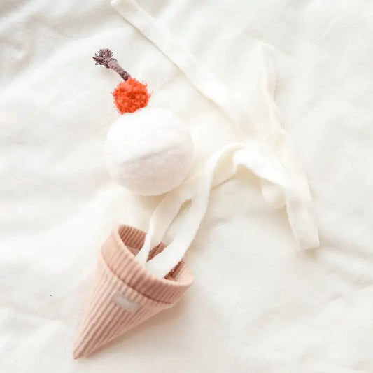 Ice Cream Pop Enrichment Snuffle Toy