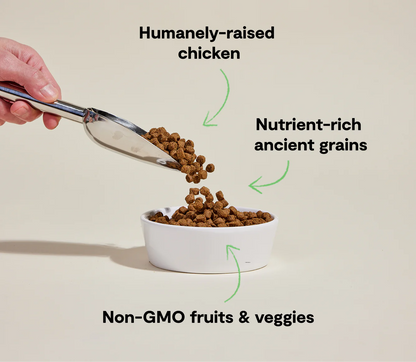 Open Farm Ancient Grains Kibble, Harvest Chicken