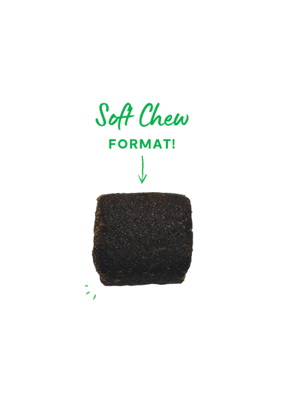 Open Farm Supplement Chews, Calming