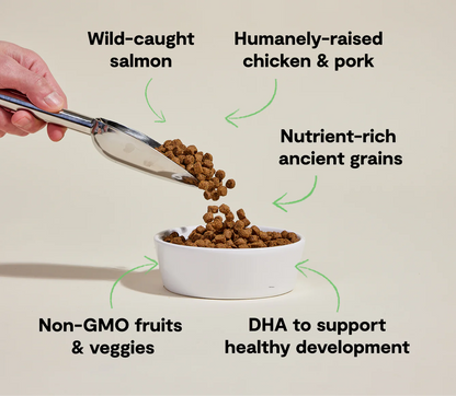Open Farm Ancient Grains Kibble, Chicken & Salmon Puppy