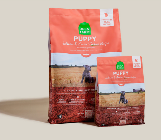 Open Farm Ancient Grains Kibble, Salmon Puppy