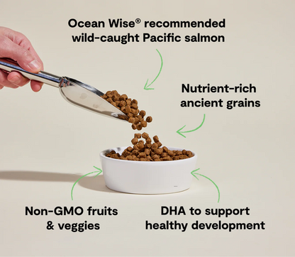 Open Farm Ancient Grains Kibble, Salmon Puppy