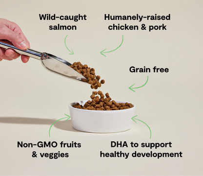 Open Farm Grain-Free Kibble, Chicken & Salmon Puppy