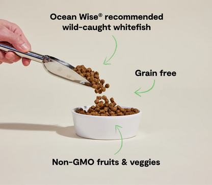 Open Farm Grain-Free Kibble, Catch-of-the-Season Whitefish