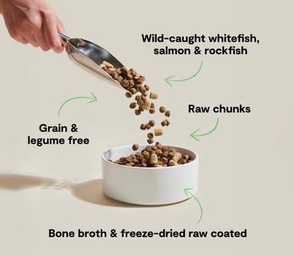 Open Farm RawMix Grain & Legume Free Kibble, Wild Ocean