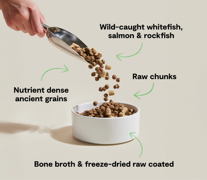 Open Farm RawMix with Ancient Grains Kibble, Wild Ocean